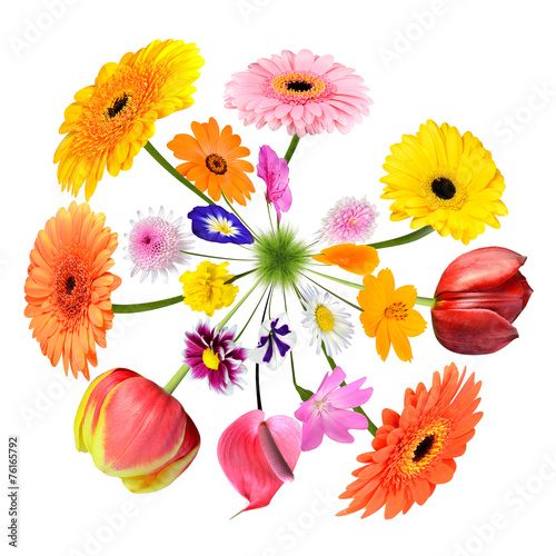 Fototapeta Naklejka Na Ścianę i Meble -  Colorful Flowers growing on little grass planet