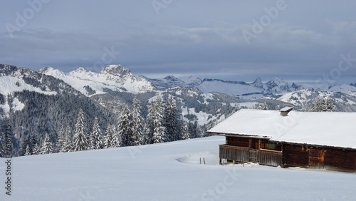 Idyllic winter scenery in the Bernese Oberland