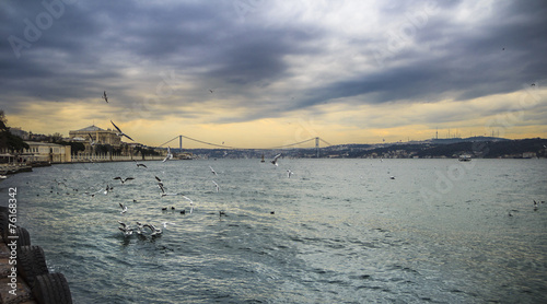 Bosphorus bridge view. Istanbul. © kulikovan