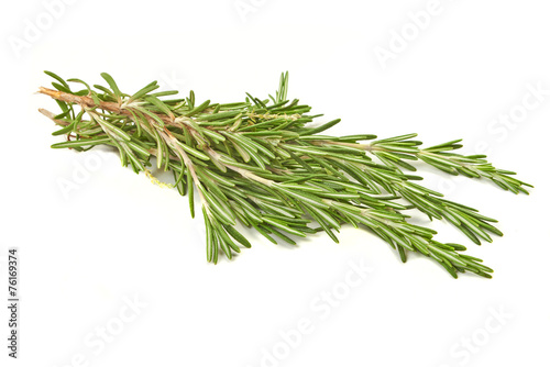 Brunch of rosemary isolated on white background