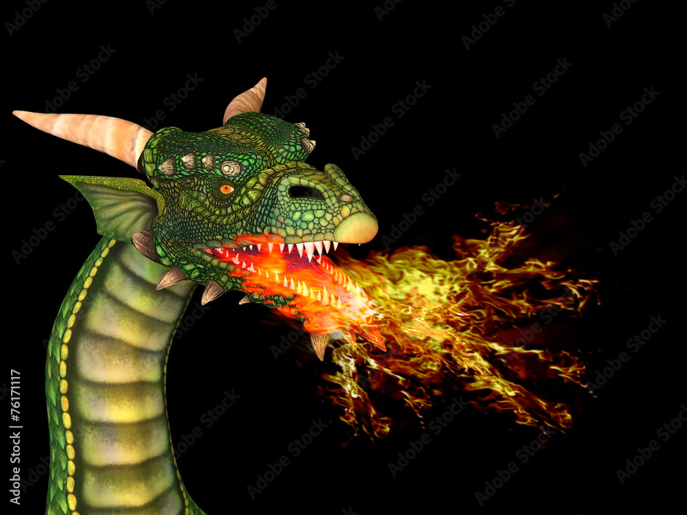 Fototapeta premium Dragon with fire