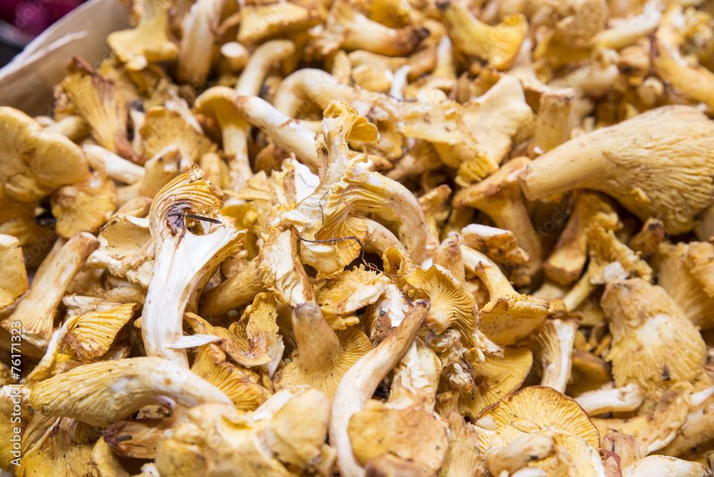 fresh mushrooms fresh mushrooms