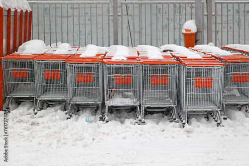 Εκτύπωση καμβά Shopping carts snow