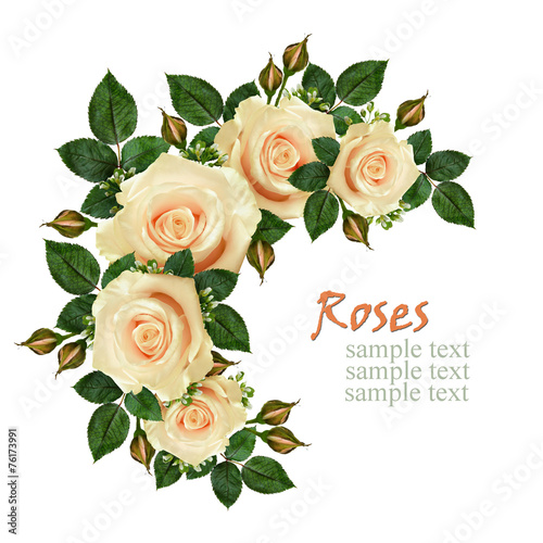 Rose flowers frame