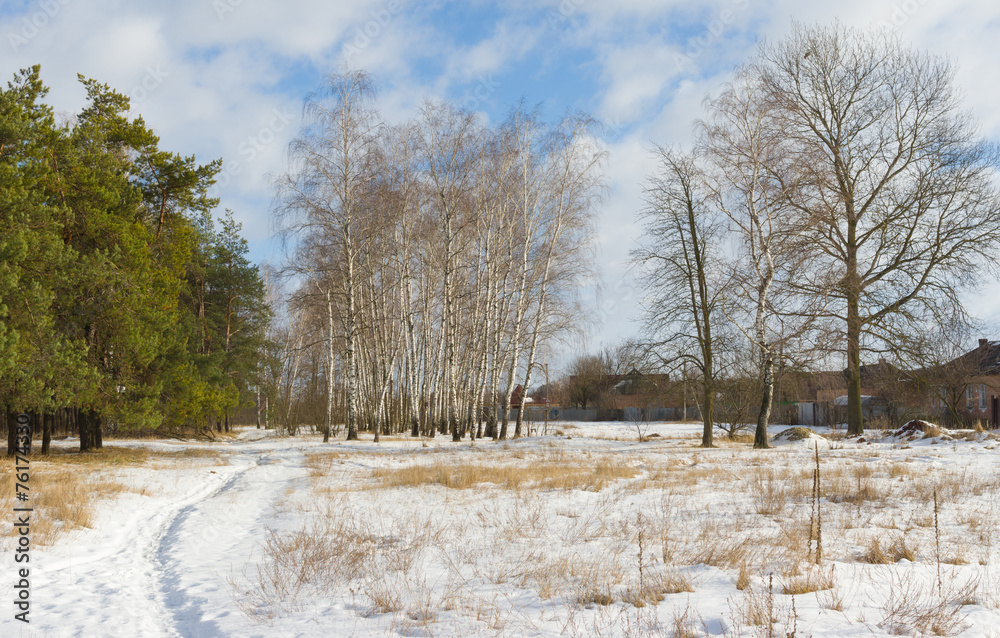 Winter landscape in Ukrainian rural area Winter landscape in Ukrainian rural area