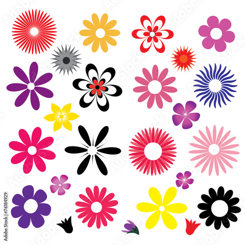 Fototapeta Naklejka Na Ścianę i Meble -  a set of colored flowers