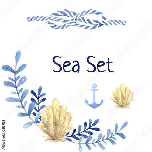 Hand drawn watercolor sea set. With water plant and shell anchor