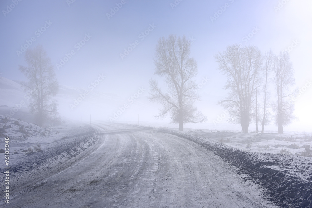 Foggy  Highway