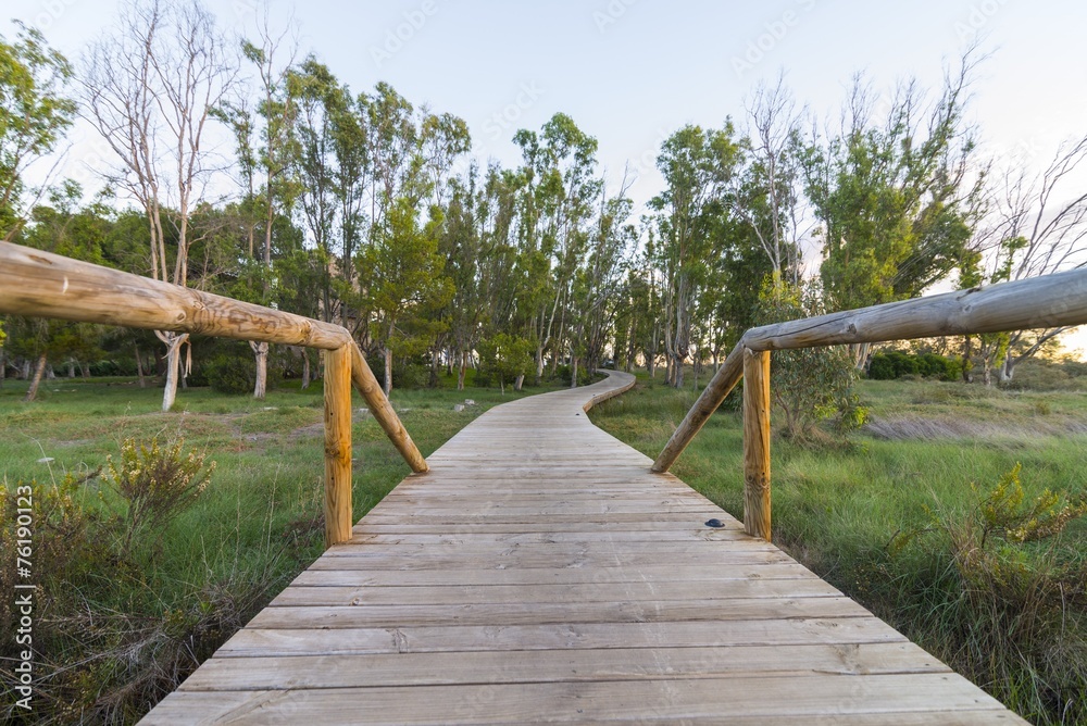 Fototapeta premium Abriendo paso