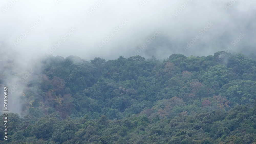 Time-lapse of cloud movement on the tropical rain forest Time-lapse of cloud movement on the tropical rain forest