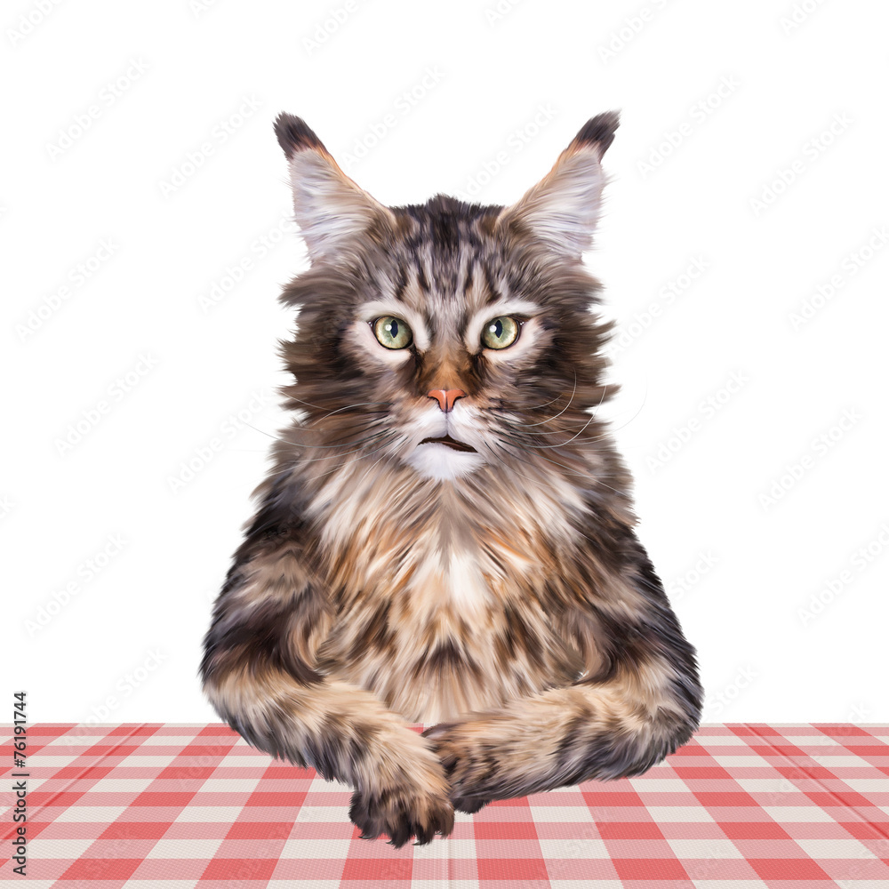 Obraz premium Katze am Tisch