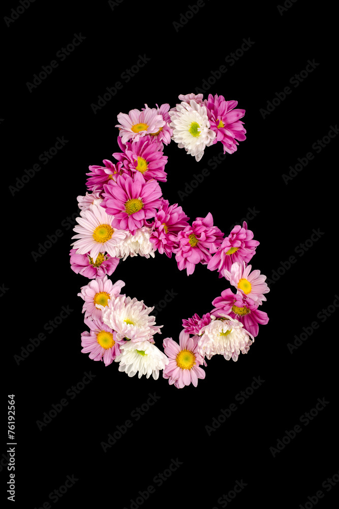 Numbers from flowers