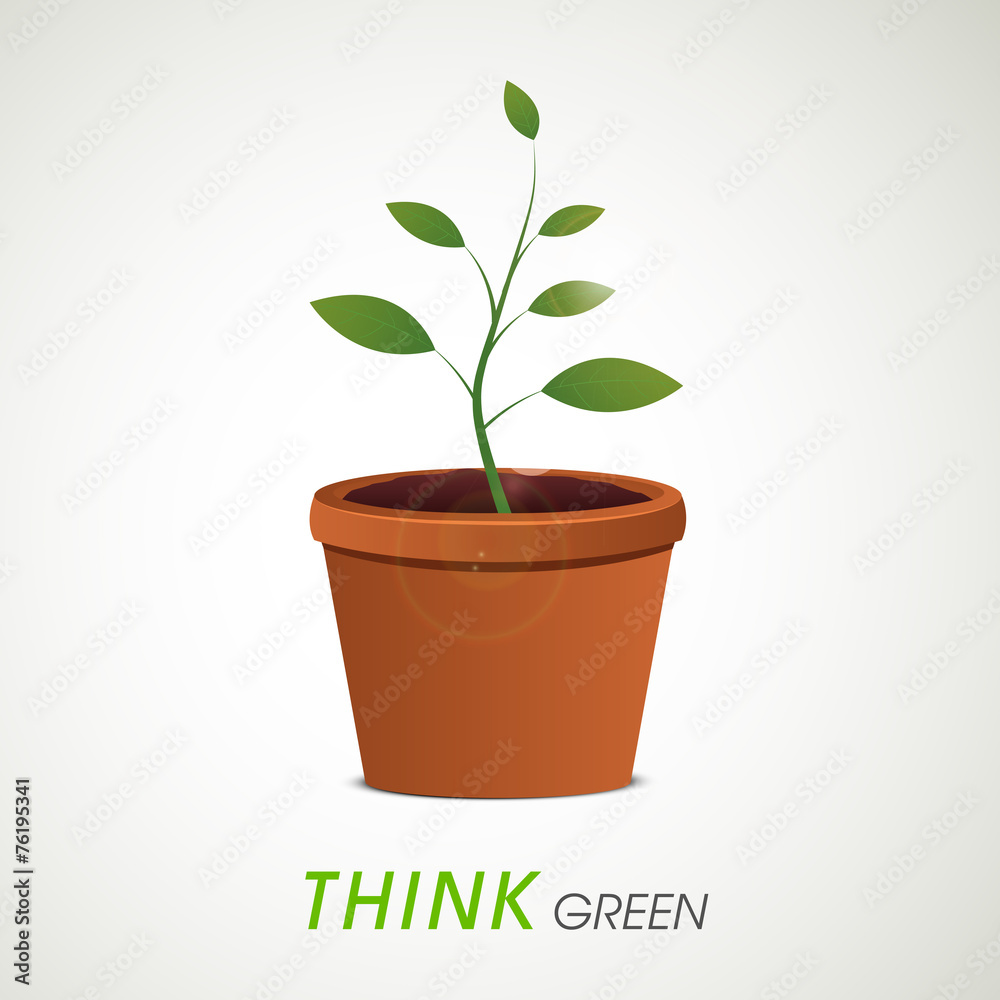 Save Nature concept with green plant in pot. Save Nature concept with green plant in pot.