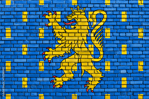 flag of Franche Comte painted on brick wall