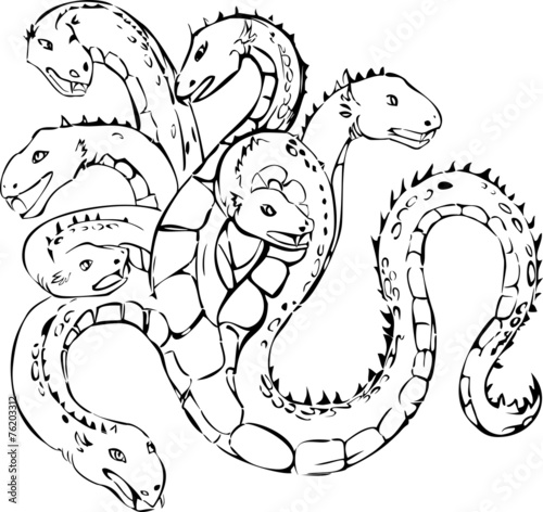 Hydra