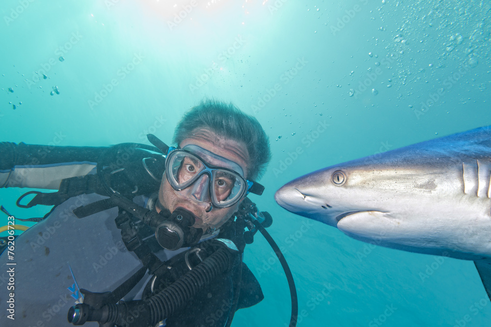 Obraz premium Underwater selfie with Grey shark ready to attack