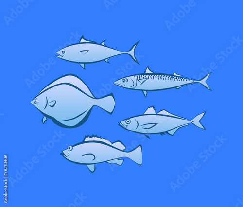 Icons of Sea Fish