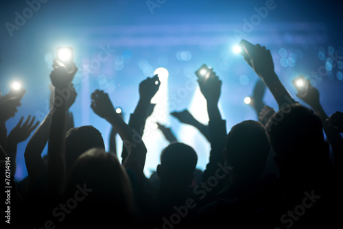 Group of people enjoying a concert