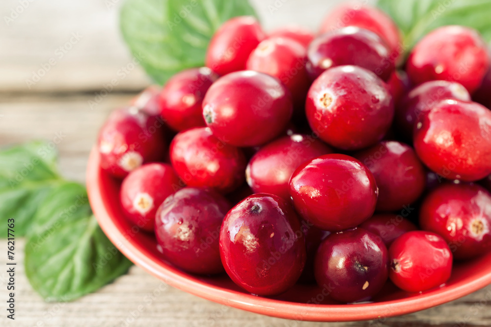 Close-up of ripe cranberries with mint leafs Close-up of ripe cranberries with mint leafs