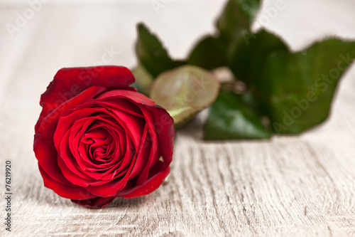 Red rose flower on wood