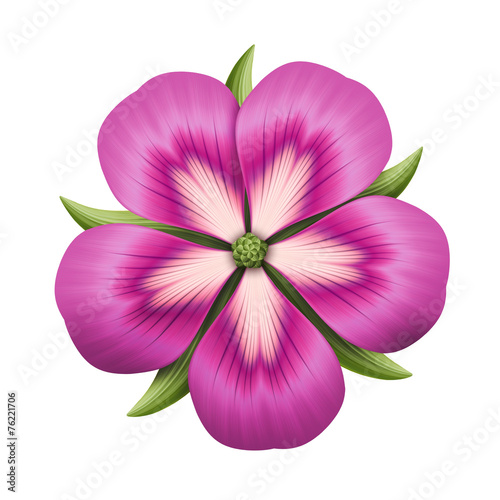 Fototapeta Naklejka Na Ścianę i Meble -  abstract pink flower illustration isolated on white