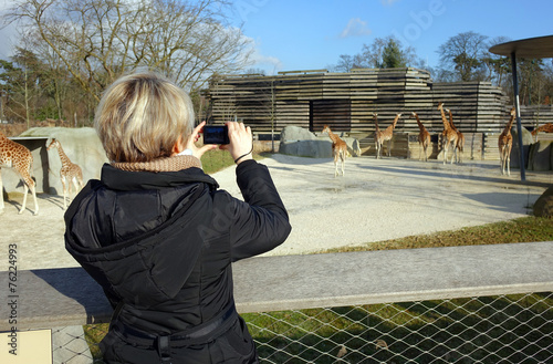 Une femme prenant des photos dans un zoo photo