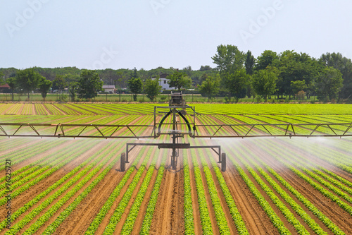 Irrigation system © markobe