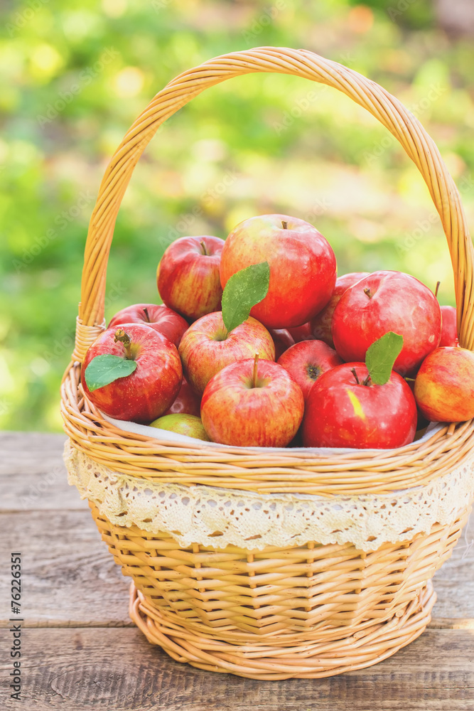 Organic apples in basket in summer grass. Fresh apples in nature Organic apples in basket in summer grass. Fresh apples in nature