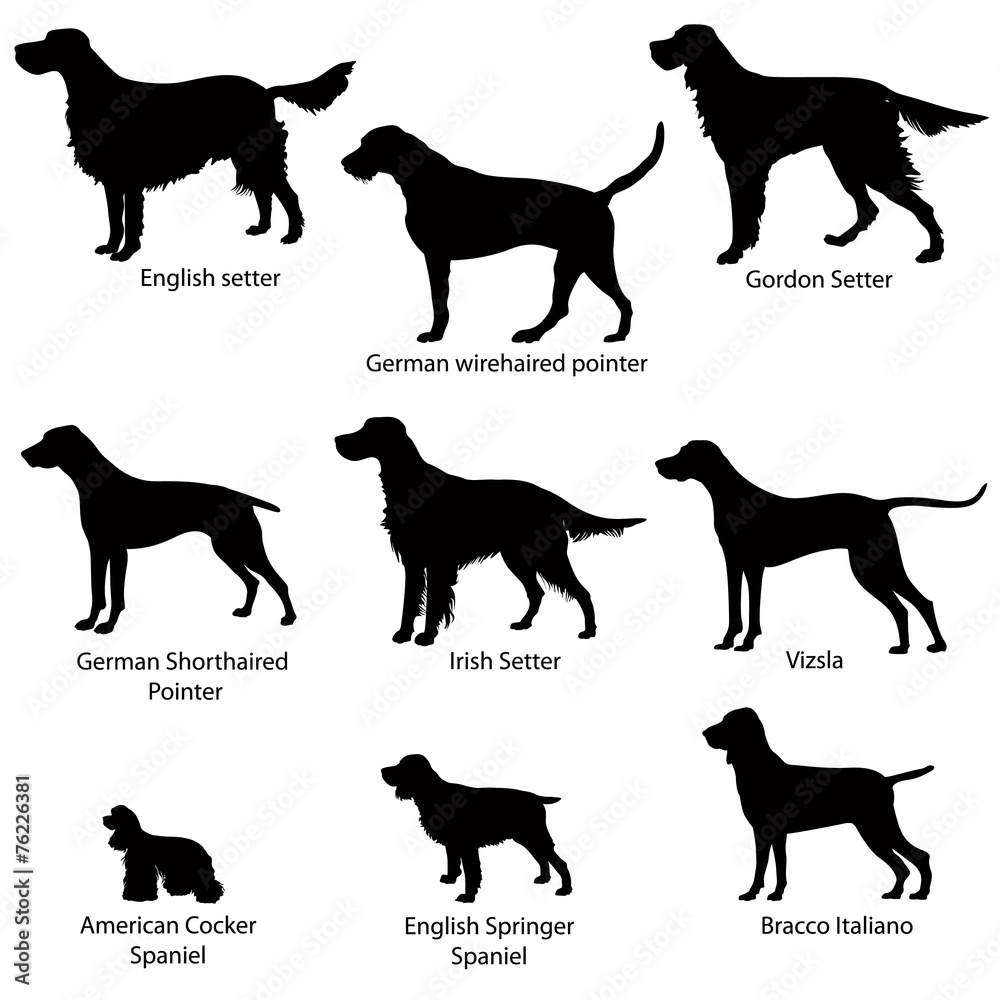 Dogs. Gun dog icon set vector silhouette collection. Stock Illustration ...
