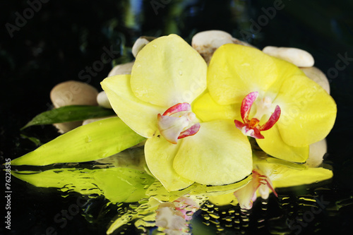 Fototapeta Naklejka Na Ścianę i Meble -  Orchid flowers with water drops and pebble stones