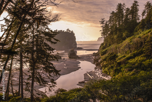 Ruby Beach Landscape photo