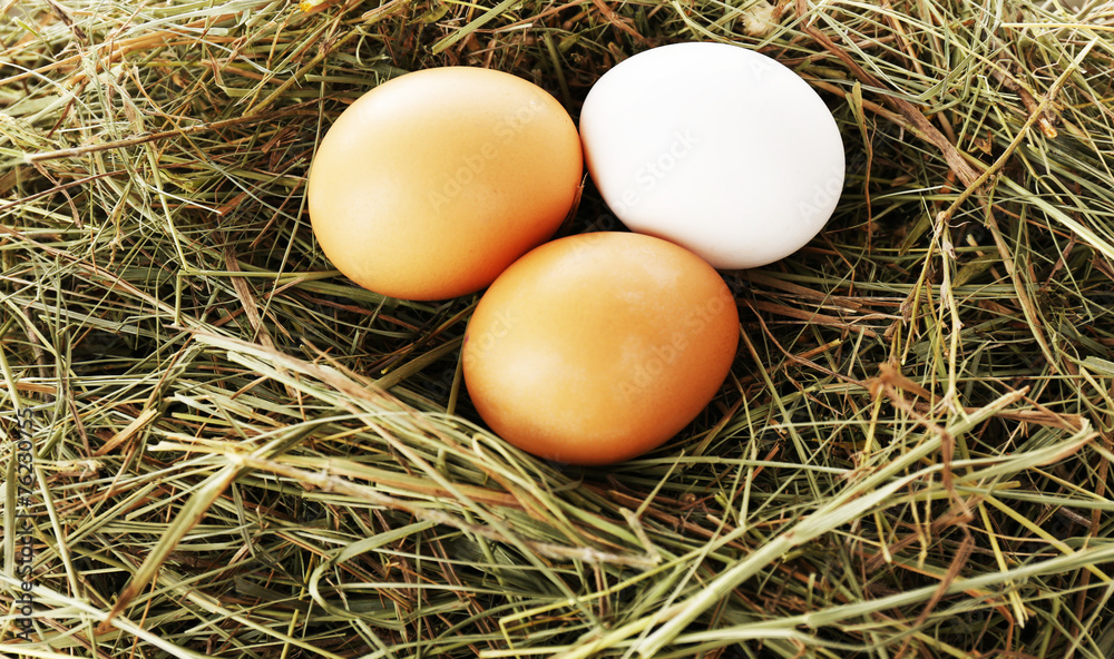 Eggs on hay, close up