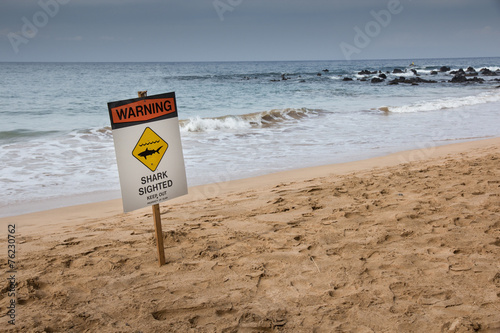 Shark Sighted Sign