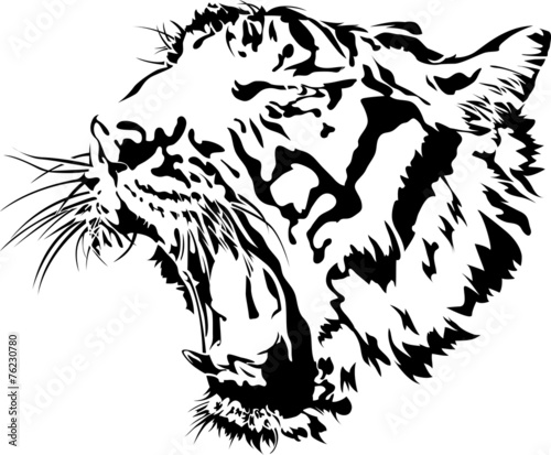Tiger head black and white.