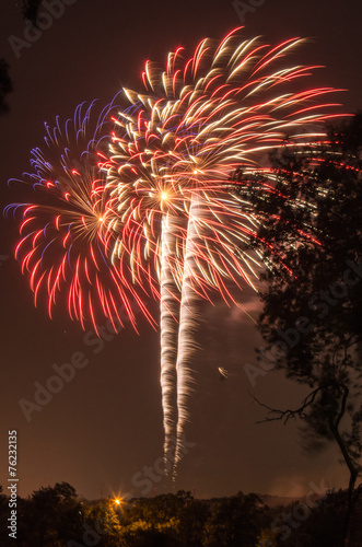 4th of July Fireworks photo