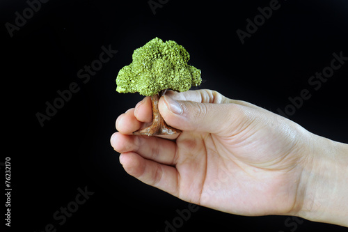 緑の木を大切に持っている人間の手