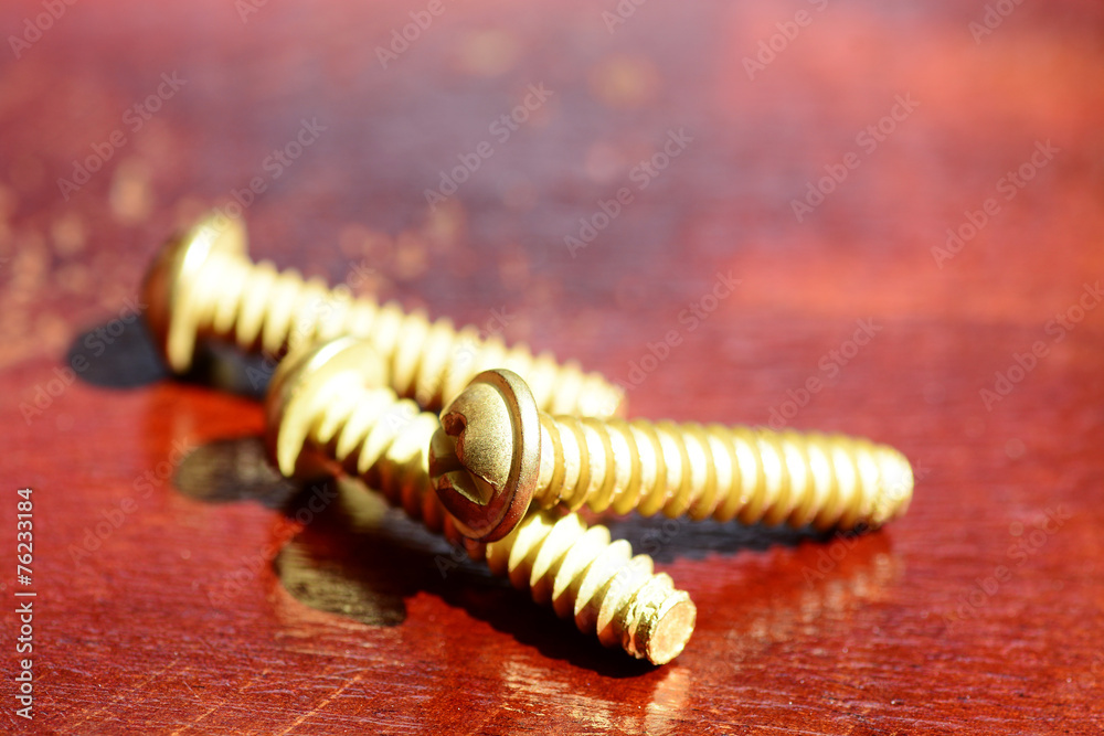 Brass Screws Brass Screws
