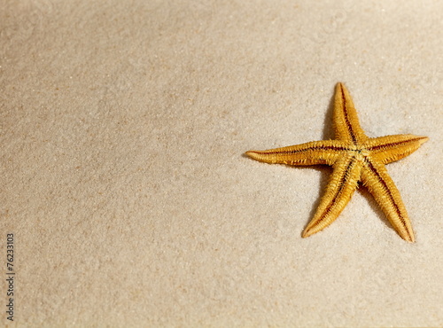 Starfish on sand