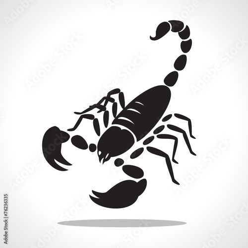 scorpion