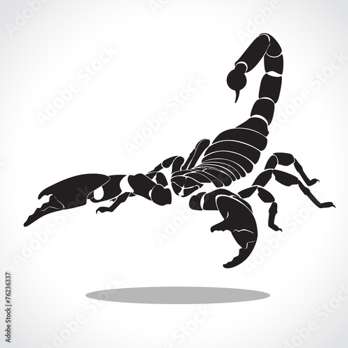scorpion
