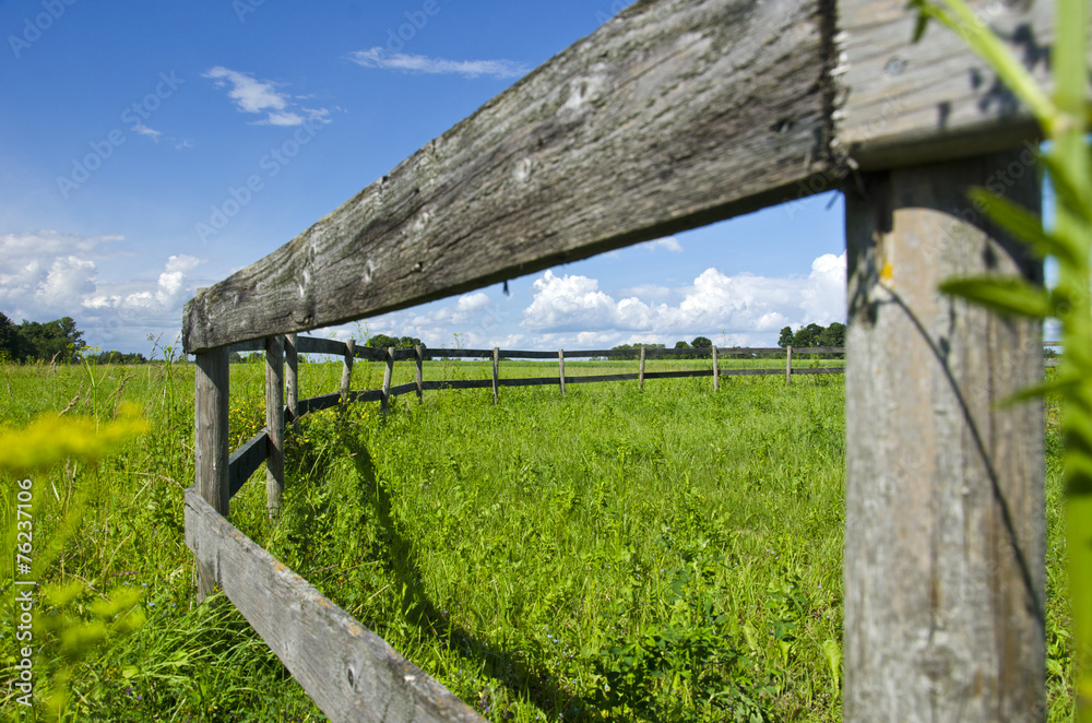 old wooden fence on nice green summer pasture meadow old wooden fence on nice green summer pasture meadow