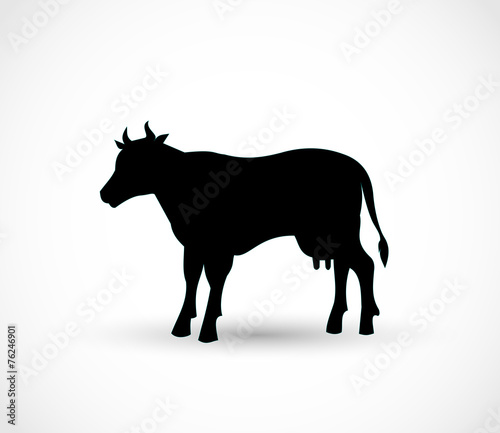 Cow icon/ shape vector © Wiktoria Matynia