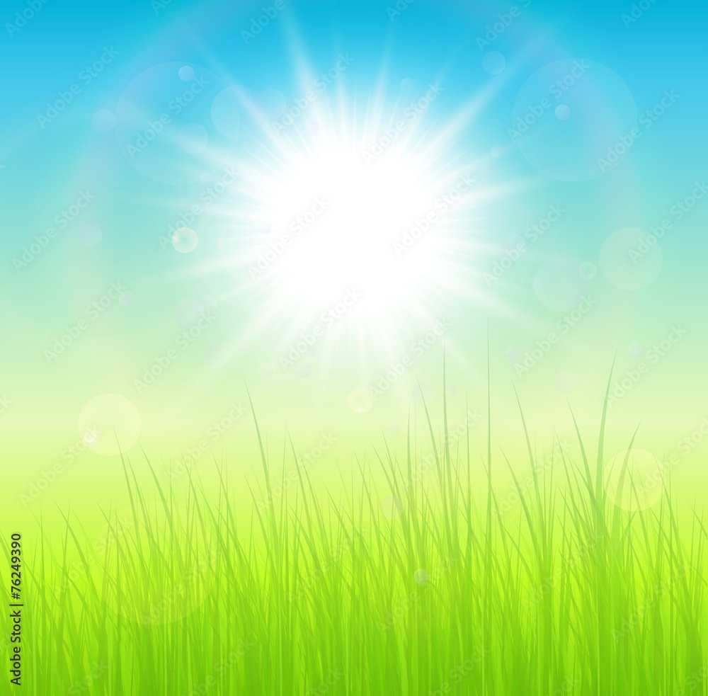 Sunny green natural background