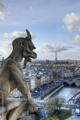 Gargoyle looking at Paris.