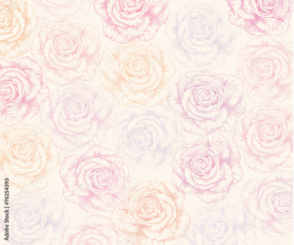 Hand drawn rose flowers Hand drawn rose flowers