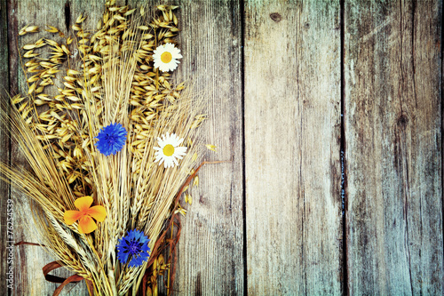 Hintergrund - Getreide auf ...