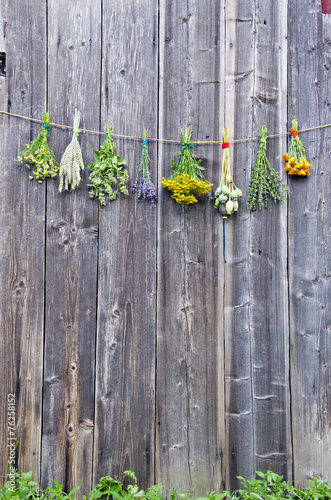 medical herbs flowers bunch collection on old wooden wall