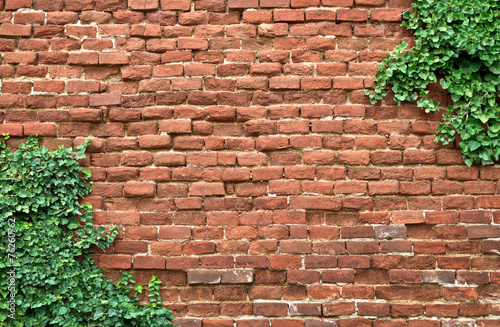 Old brick wall covered in ivy