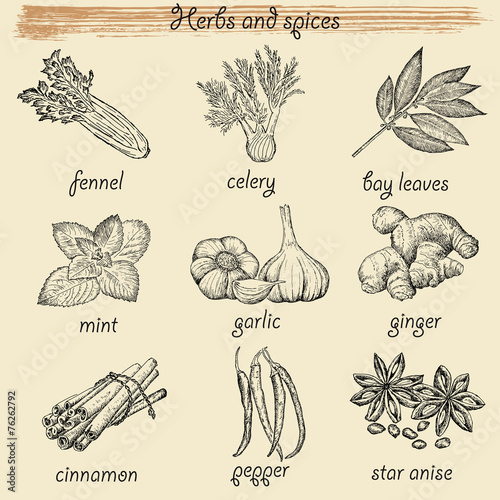 herbs and spices