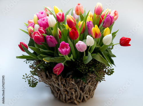 Fototapeta Naklejka Na Ścianę i Meble -  Bunte Tulpen